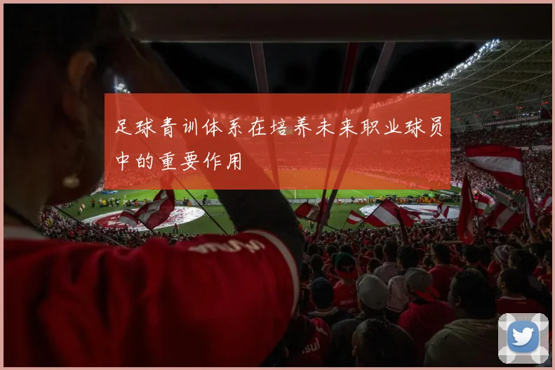 足球青训体系在培养未来职业球员中的重要作用